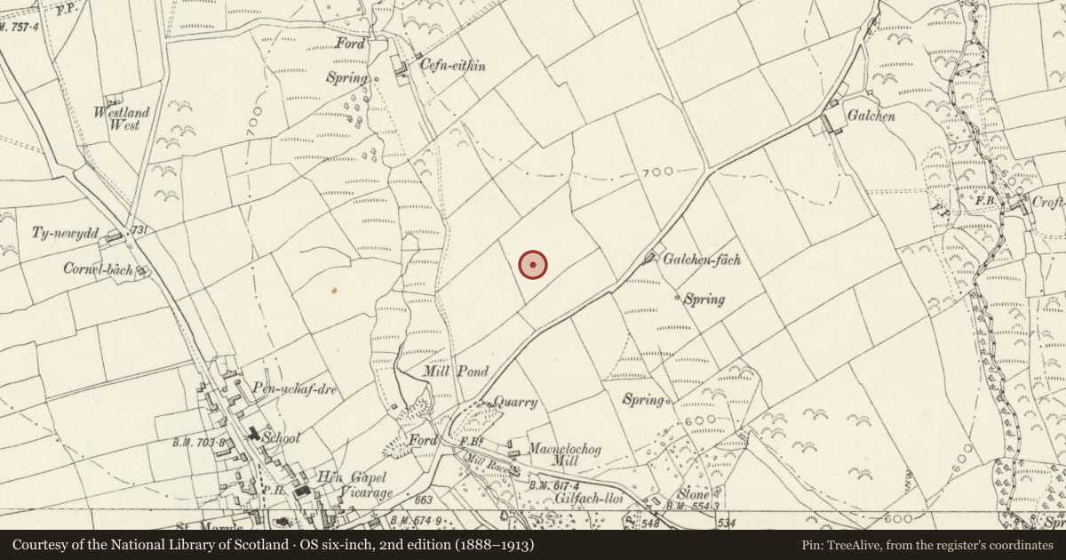 Ordnance Survey six-inch map, 2nd edition (1888–1913) covering the location of Galchen-Fach Stone, Maenclochog, Pembrokeshire, with a pin at the register's coordinates