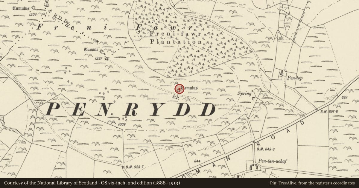 Ordnance Survey six-inch map, 2nd edition (1888–1913) covering the location of Round Barrow on E Slope of Freni Fawr, Boncath, Pembrokeshire, with a pin at the register's coordinates
