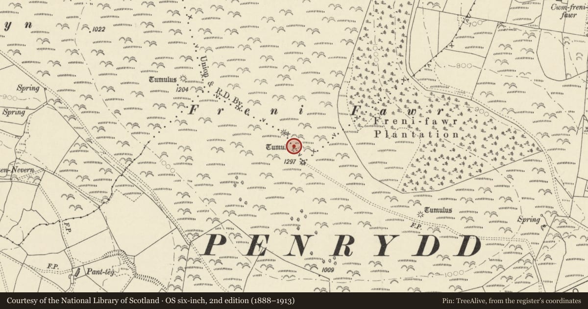 Ordnance Survey six-inch map, 2nd edition (1888–1913) covering the location of Round Barrows on Summit of Freni Fawr, Boncath, Pembrokeshire, with a pin at the register's coordinates
