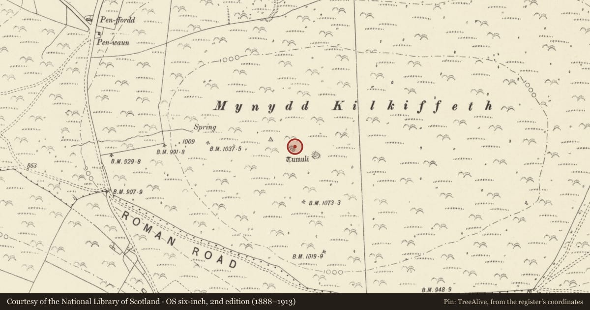 Ordnance Survey six-inch map, 2nd edition (1888–1913) covering the location of Mynydd Cilciffeth Round Barrows, Cwm Gwaun, Pembrokeshire, with a pin at the register's coordinates