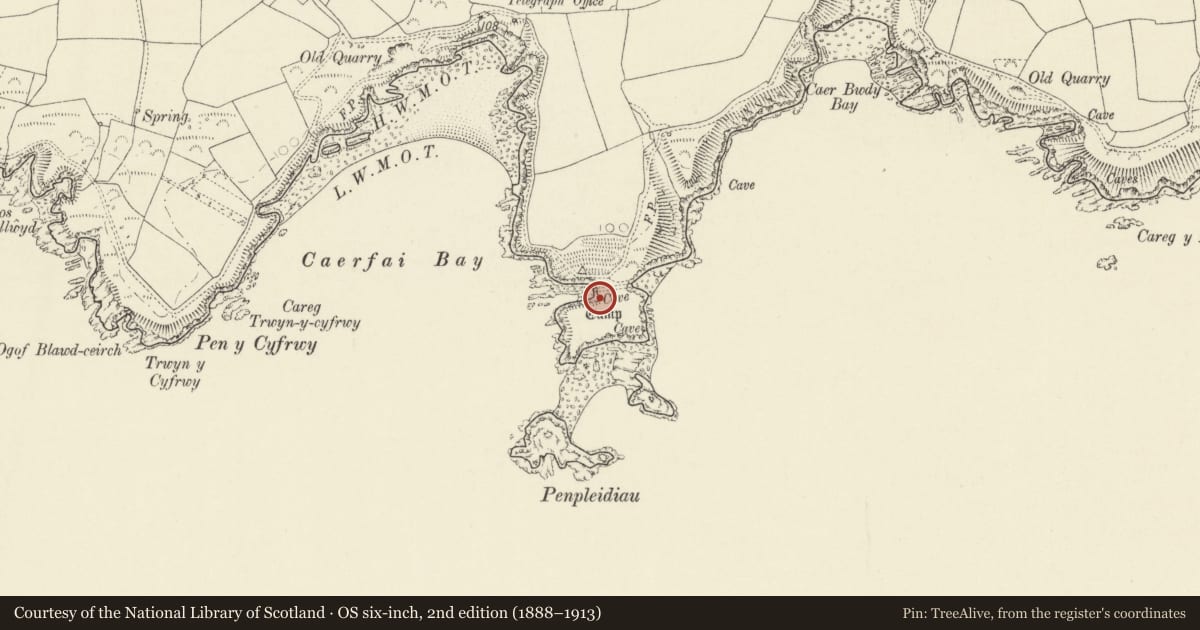 Ordnance Survey six-inch map, 2nd edition (1888–1913) covering the location of Caerfai Camp, St. David's and the Cathedral Close, Pembrokeshire, with a pin at the register's coordinates