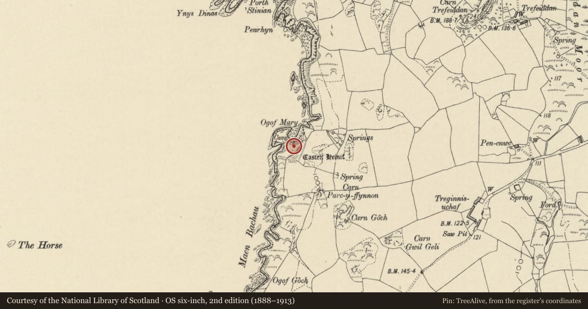 Ordnance Survey six-inch map, 2nd edition (1888–1913) covering the location of Castell Heinif, St. David's and the Cathedral Close, Pembrokeshire, with a pin at the register's coordinates