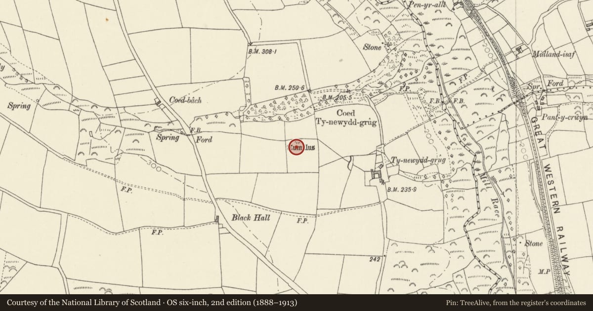 Ordnance Survey six-inch map, 2nd edition (1888–1913) covering the location of Ty-Newydd-Grug Standing Stone, Mathry, Pembrokeshire, with a pin at the register's coordinates