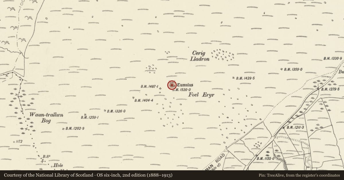Ordnance Survey six-inch map, 2nd edition (1888–1913) covering the location of Foel Eryr Round Cairn, Eglwyswrw, Pembrokeshire, with a pin at the register's coordinates