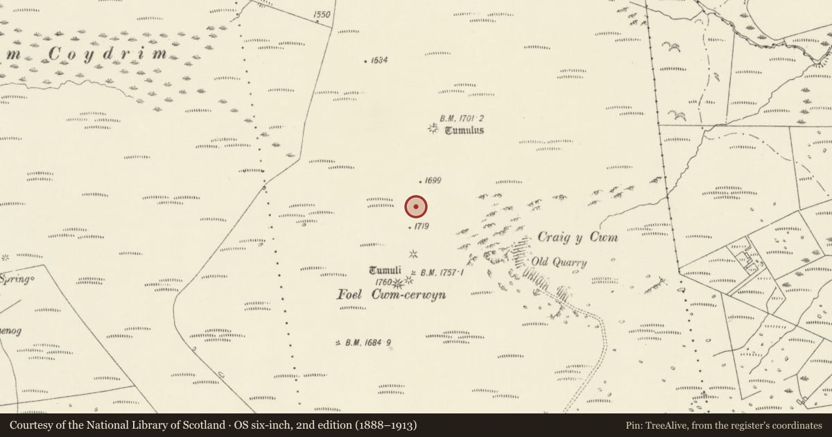 Ordnance Survey six-inch map, 2nd edition (1888–1913) covering the location of Foel Cwm-Cerwyn Round Cairns, Maenclochog, Pembrokeshire, with a pin at the register's coordinates