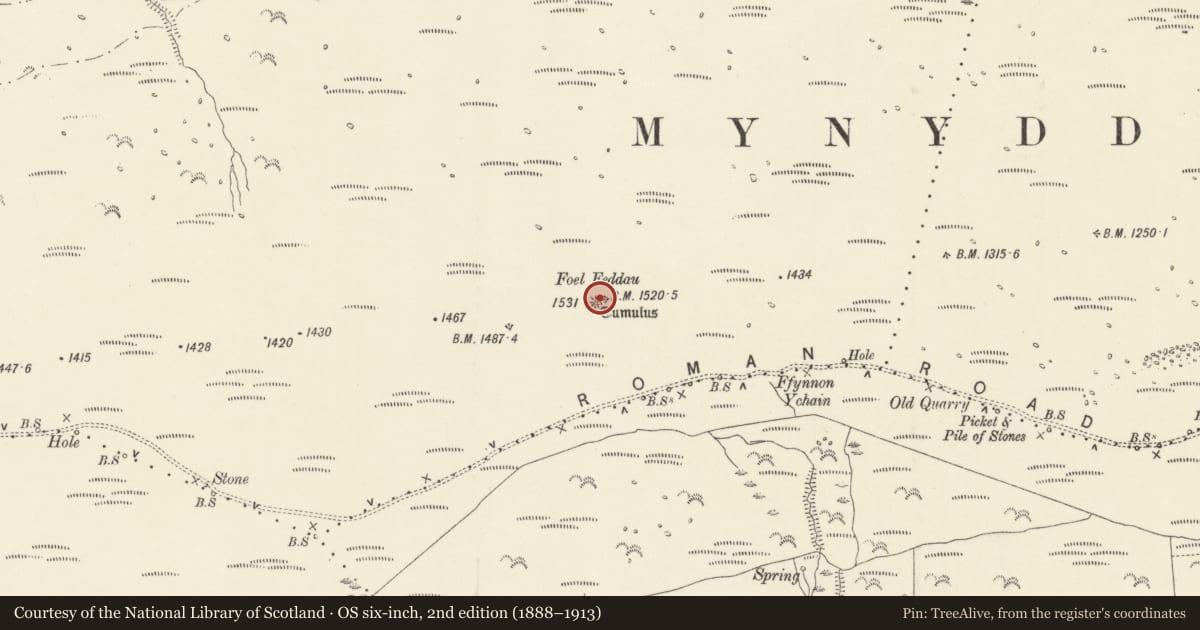 Ordnance Survey six-inch map, 2nd edition (1888–1913) covering the location of Foel Feddau Round Cairn, Eglwyswrw, Pembrokeshire, with a pin at the register's coordinates