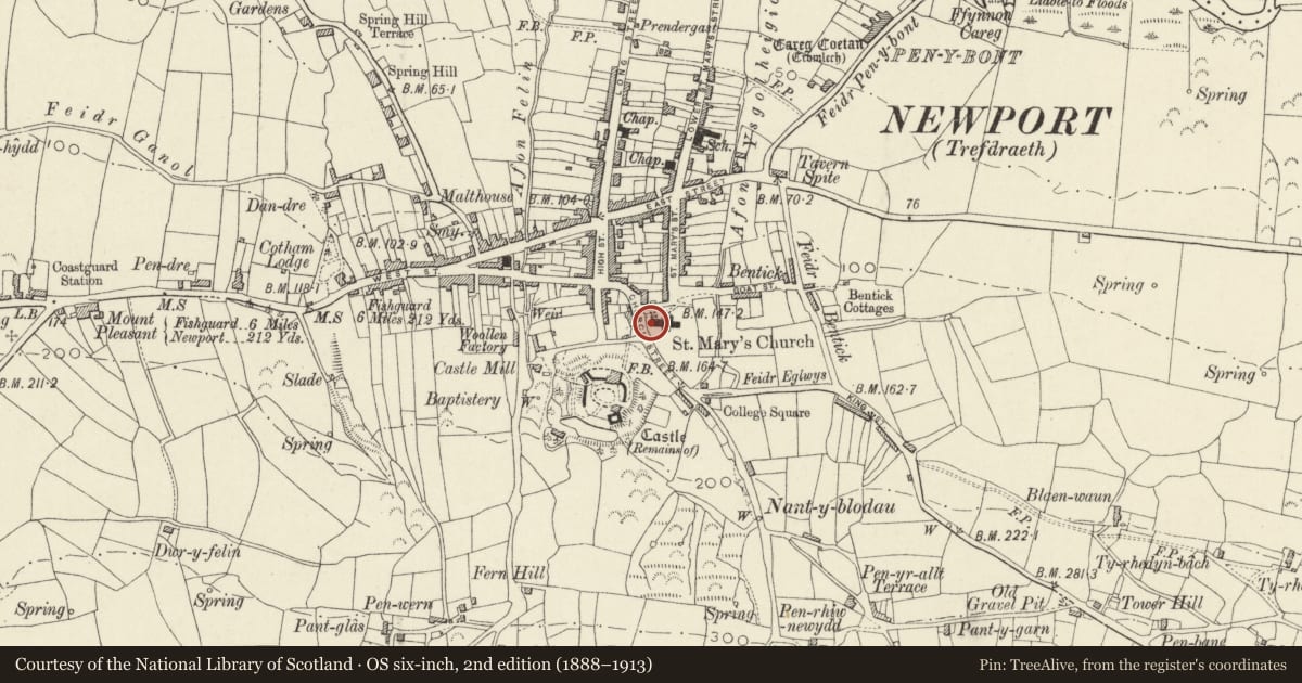Ordnance Survey six-inch map, 2nd edition (1888–1913) covering the location of Pillar Cross in Newport Churchyard, Pembrokeshire, with a pin at the register's coordinates