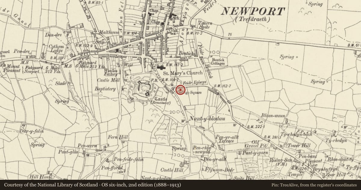 Ordnance Survey six-inch map, 2nd edition (1888–1913) covering the location of Pillar Cross 140m SE of Newport Church, Pembrokeshire, with a pin at the register's coordinates