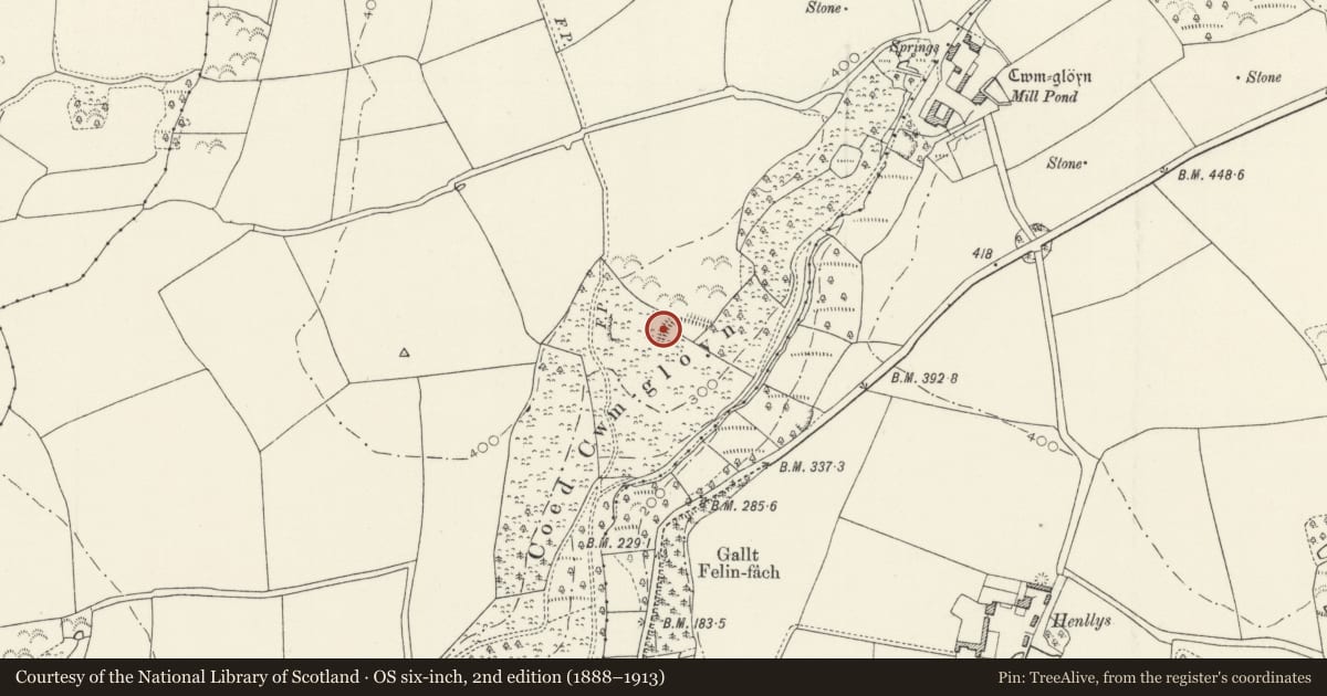 Ordnance Survey six-inch map, 2nd edition (1888–1913) covering the location of Cwm Gloyn Camp, Nevern, Pembrokeshire, with a pin at the register's coordinates