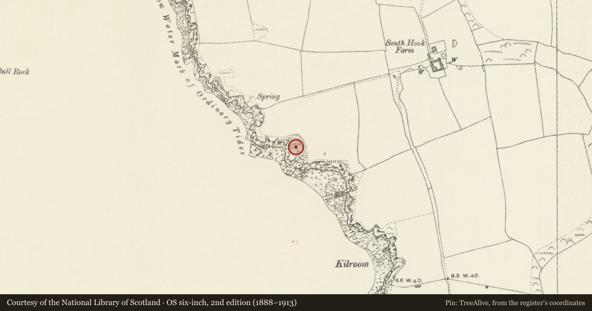 Ordnance Survey six-inch map, 2nd edition (1888–1913) covering the location of South Hook Camp, Herbrandston, Pembrokeshire, with a pin at the register's coordinates