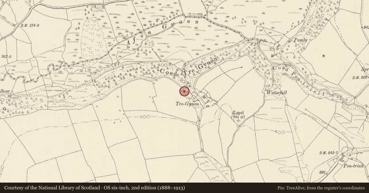Ordnance Survey six-inch map, 2nd edition (1888–1913) covering the location of Tre-Gynon Camp, Cwm Gwaun, Pembrokeshire, with a pin at the register's coordinates