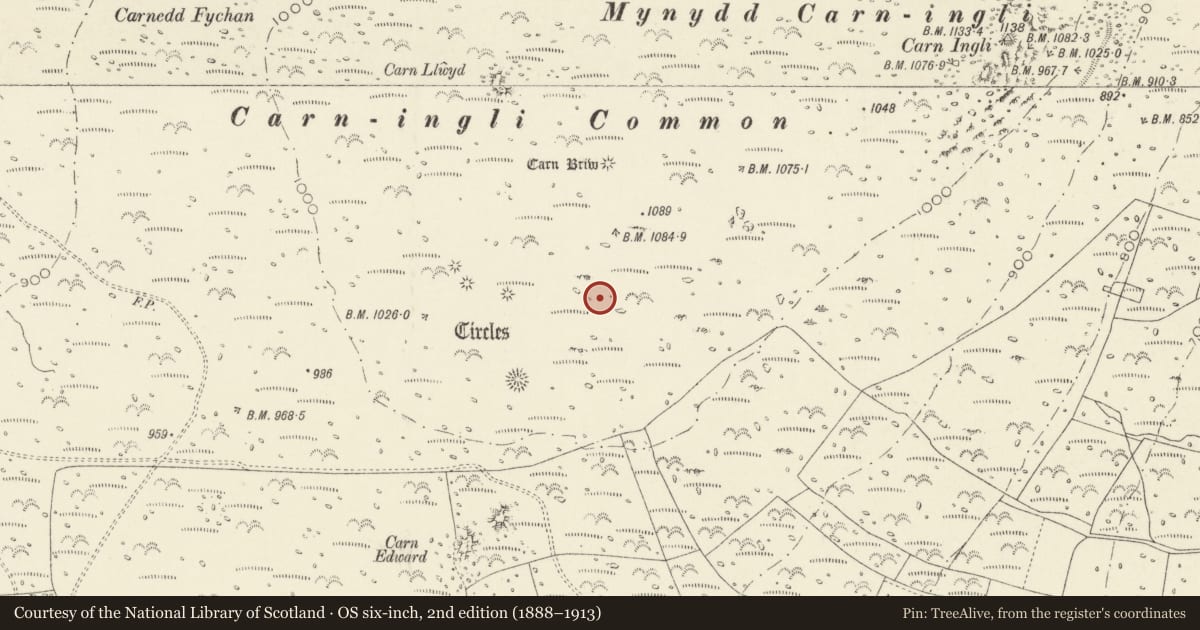 Ordnance Survey six-inch map, 2nd edition (1888–1913) covering the location of Carn Ingli Common Hut Circles, Newport, Pembrokeshire, with a pin at the register's coordinates