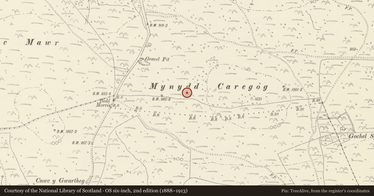 Ordnance Survey six-inch map, 2nd edition (1888–1913) covering the location of Mynnydd Caregog Hut Circle, Newport, Pembrokeshire, with a pin at the register's coordinates
