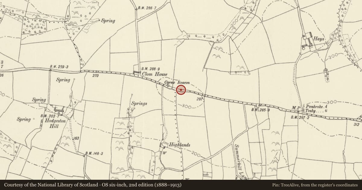 Ordnance Survey six-inch map, 2nd edition (1888–1913) covering the location of Carew Beacon Round Barrows, Pembrokeshire, with a pin at the register's coordinates