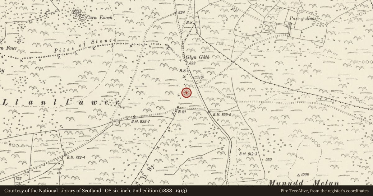 Ordnance Survey six-inch map, 2nd edition (1888–1913) covering the location of Glyn Gath Round Barrow, Cwm Gwaun, Pembrokeshire, with a pin at the register's coordinates