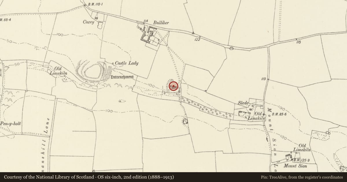 Ordnance Survey six-inch map, 2nd edition (1888–1913) covering the location of Bulliber Camp (East), Castlemartin, Pembrokeshire, with a pin at the register's coordinates