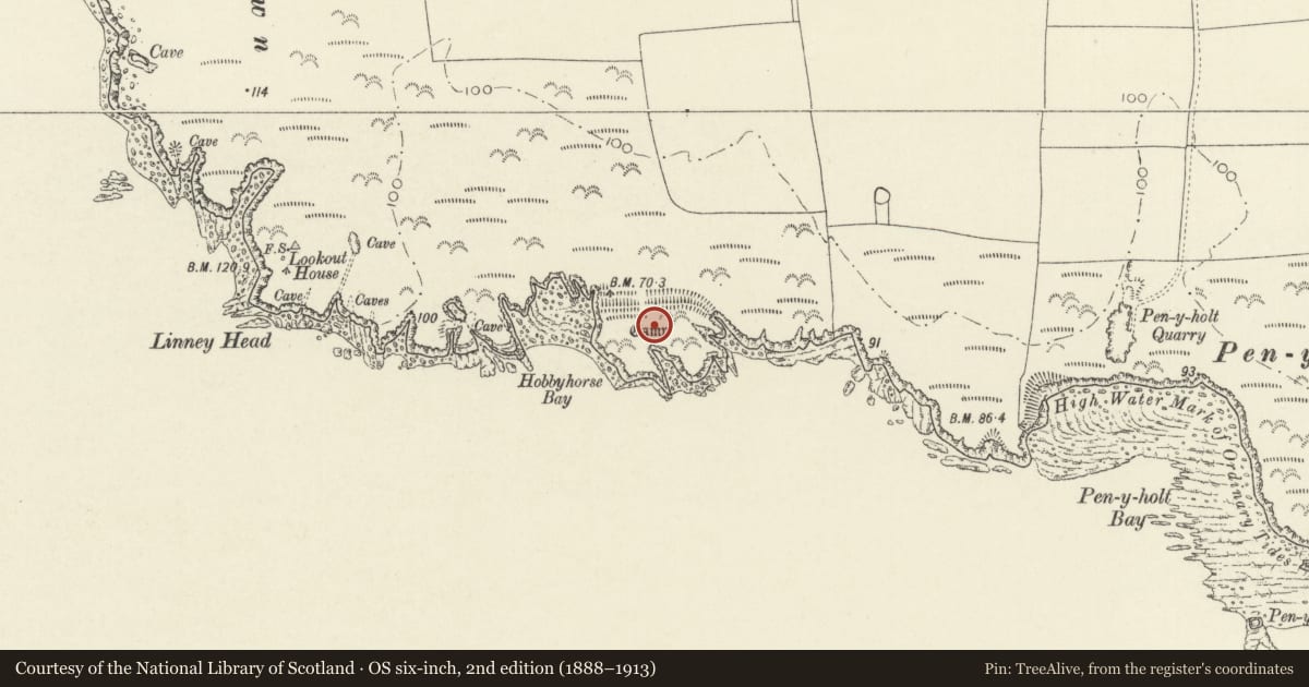 Ordnance Survey six-inch map, 2nd edition (1888–1913) covering the location of Linney Head Camp, Castlemartin, Pembrokeshire, with a pin at the register's coordinates