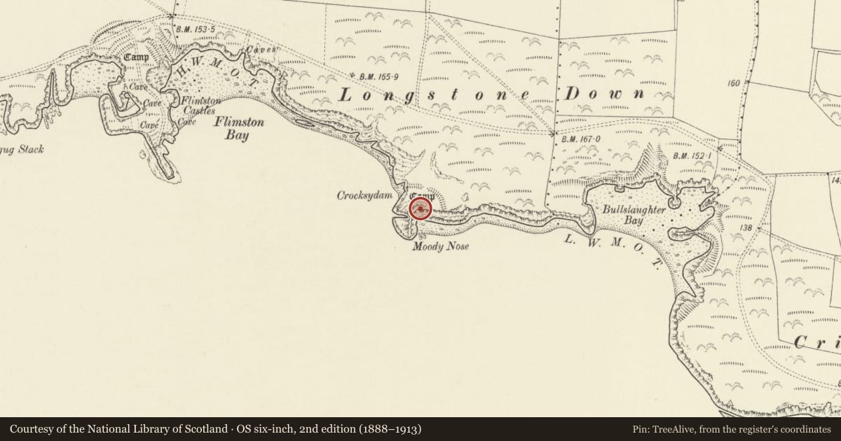 Ordnance Survey six-inch map, 2nd edition (1888–1913) covering the location of Crocksydam Camp, Castlemartin, Pembrokeshire, with a pin at the register's coordinates
