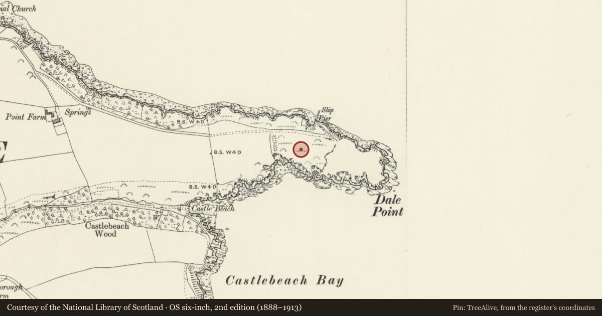 Ordnance Survey six-inch map, 2nd edition (1888–1913) covering the location of Dale Point Promontory Fort (Defences), Pembrokeshire, with a pin at the register's coordinates