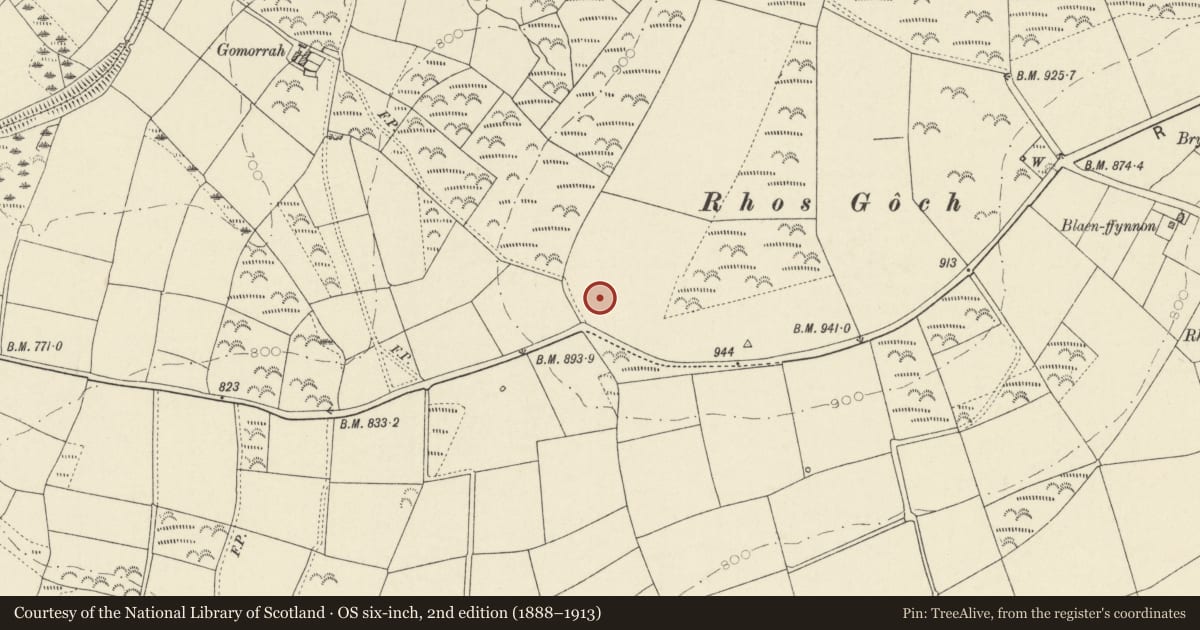 Ordnance Survey six-inch map, 2nd edition (1888–1913) covering the location of Rhos Goch Round Barrow, Boncath, Pembrokeshire, with a pin at the register's coordinates