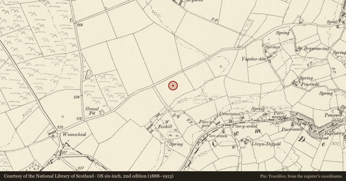 Ordnance Survey six-inch map, 2nd edition (1888–1913) covering the location of Foxhill Round Barrow, St. Dogmaels, Pembrokeshire, with a pin at the register's coordinates