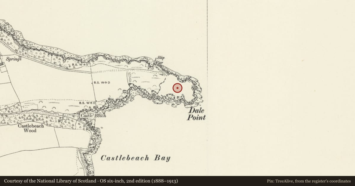 Ordnance Survey six-inch map, 2nd edition (1888–1913) covering the location of Dale Point Fort (Unoccupied Parts), Pembrokeshire, with a pin at the register's coordinates