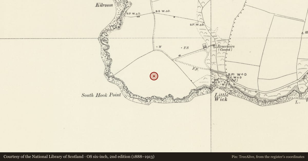Ordnance Survey six-inch map, 2nd edition (1888–1913) covering the location of South Hook Fort, Herbrandston, Pembrokeshire, with a pin at the register's coordinates