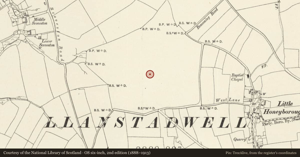 Ordnance Survey six-inch map, 2nd edition (1888–1913) covering the location of Fort Scoveston, Llanstadwell, Pembrokeshire, with a pin at the register's coordinates