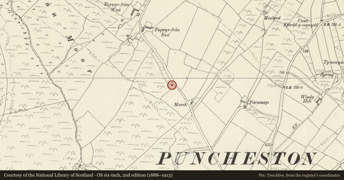 Ordnance Survey six-inch map, 2nd edition (1888–1913) covering the location of Marsh Round Barrow, Puncheston, Pembrokeshire, with a pin at the register's coordinates