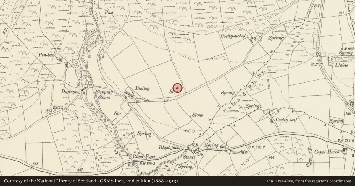 Ordnance Survey six-inch map, 2nd edition (1888–1913) covering the location of Budloy Standing Stone, Maenclochog, Pembrokeshire, with a pin at the register's coordinates