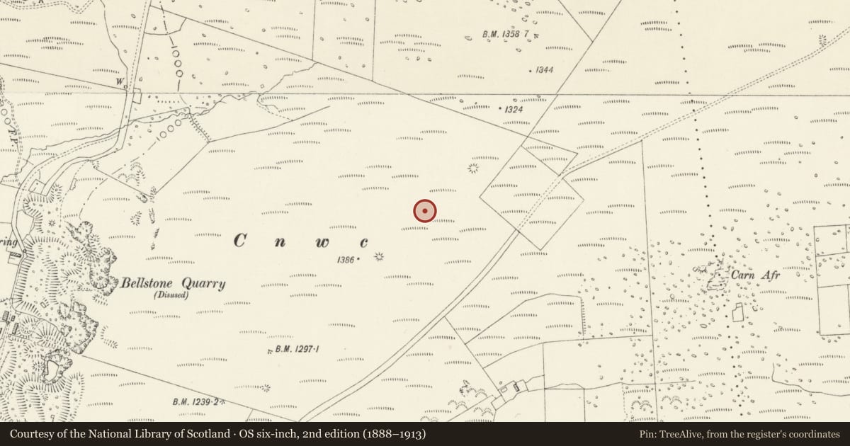 Ordnance Survey six-inch map, 2nd edition (1888–1913) covering the location of Cnwc Round Cairns, Maenclochog, Pembrokeshire, with a pin at the register's coordinates