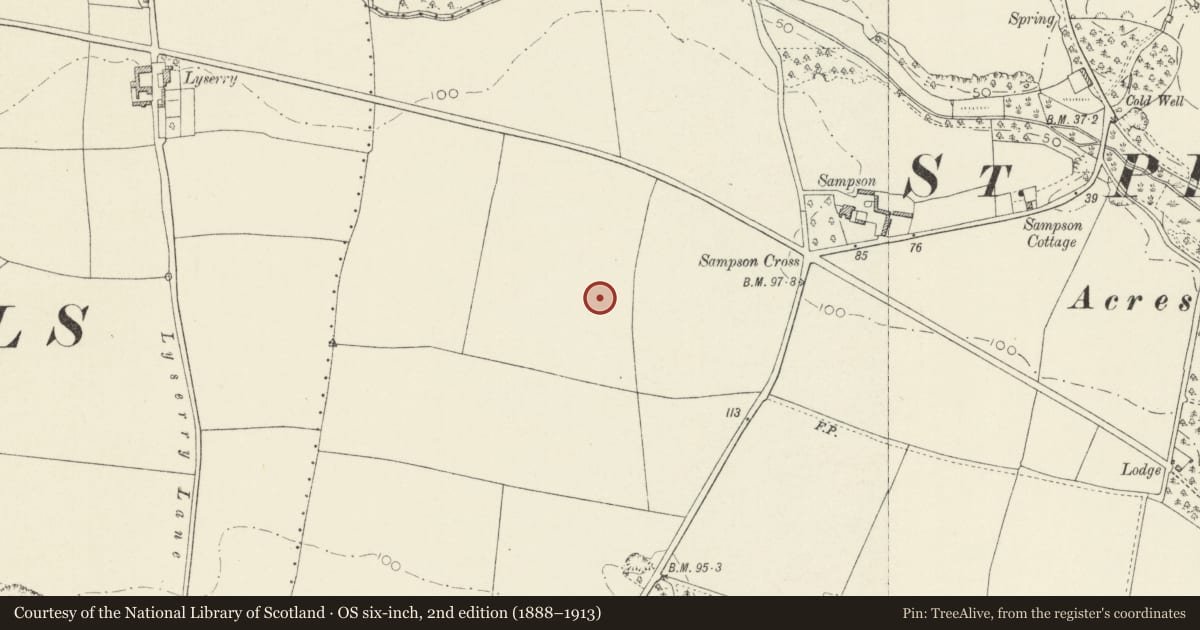 Ordnance Survey six-inch map, 2nd edition (1888–1913) covering the location of Sampson Cross Standing Stone, Stackpole and Castlemartin, Pembrokeshire, with a pin at the register's coordinates