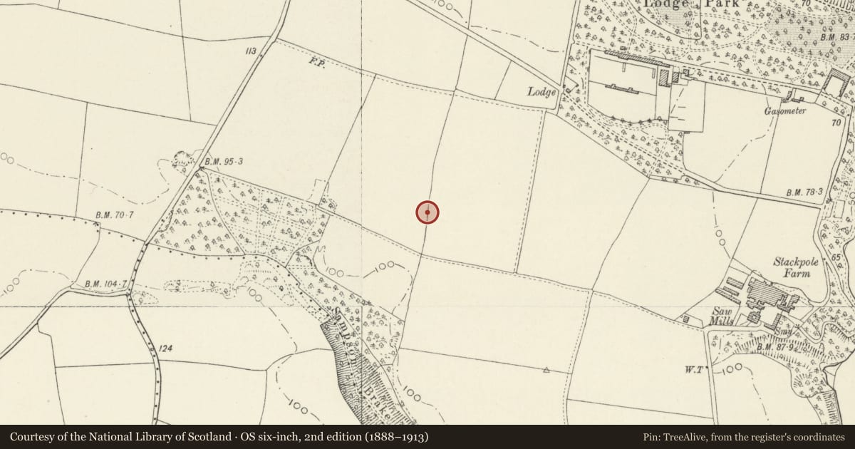 Ordnance Survey six-inch map, 2nd edition (1888–1913) covering the location of Stackpole Farm Standing Stone, Stackpole and Castlemartin, Pembrokeshire, with a pin at the register's coordinates