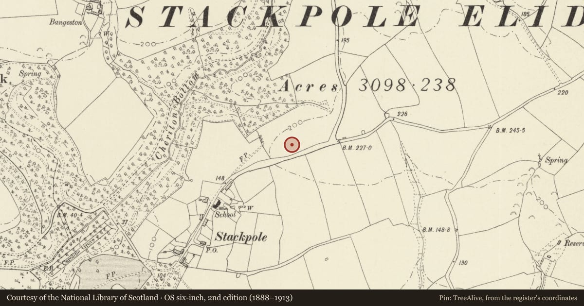 Ordnance Survey six-inch map, 2nd edition (1888–1913) covering the location of Stackpole Earthwork, Stackpole and Castlemartin, Pembrokeshire, with a pin at the register's coordinates