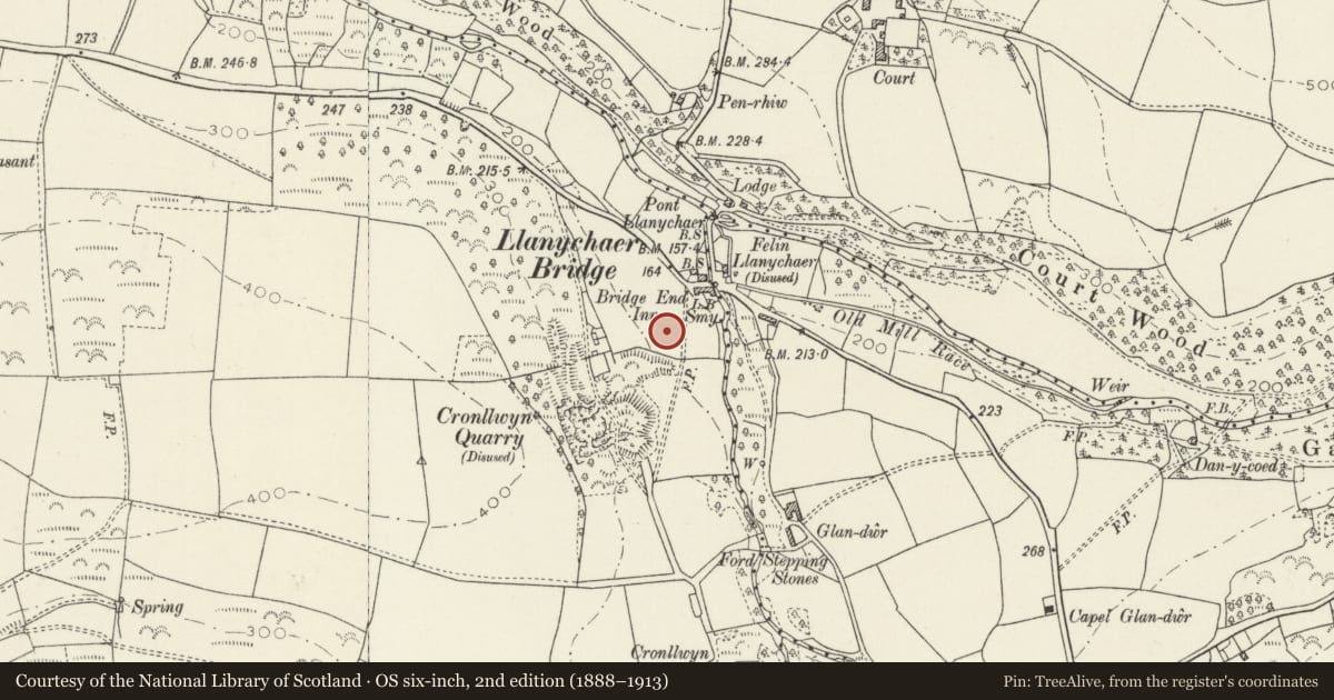 Ordnance Survey six-inch map, 2nd edition (1888–1913) covering the location of Cronllwyn Earthwork, Cwm Gwaun, Pembrokeshire, with a pin at the register's coordinates