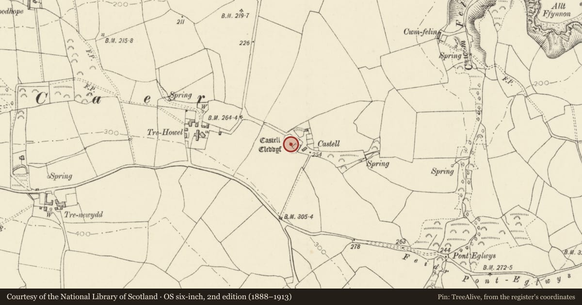 Ordnance Survey six-inch map, 2nd edition (1888–1913) covering the location of Castell Cleddyf, Pencaer, Pembrokeshire, with a pin at the register's coordinates
