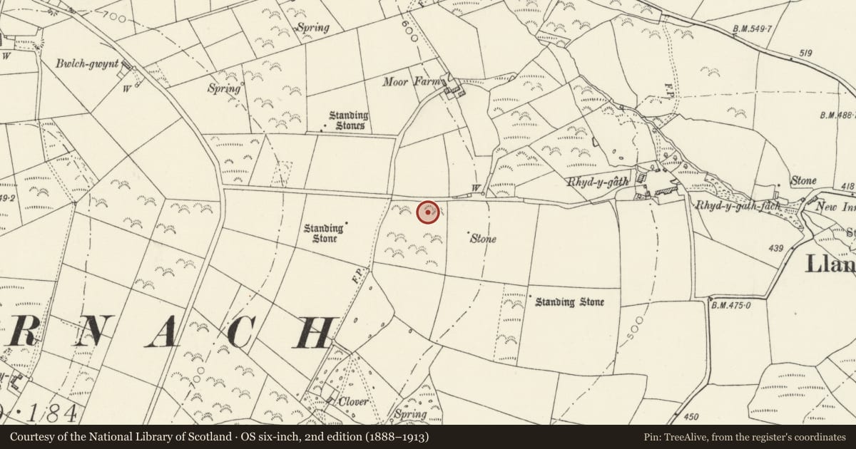 Ordnance Survey six-inch map, 2nd edition (1888–1913) covering the location of Llanfyrnach Standing Stones, Crymych, Pembrokeshire, with a pin at the register's coordinates