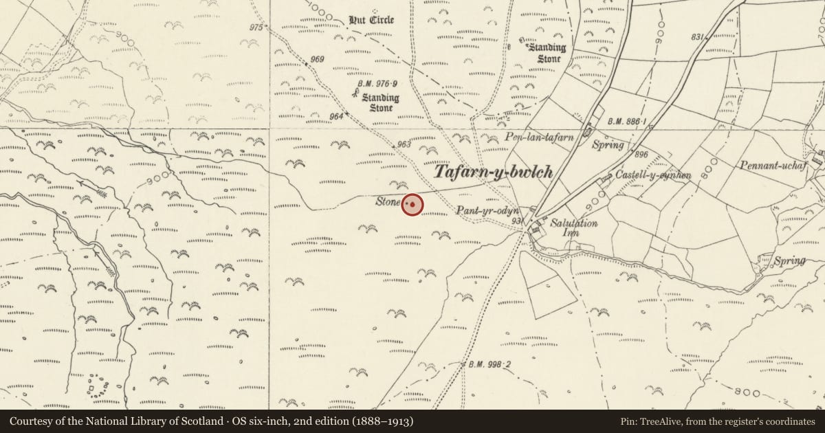 Ordnance Survey six-inch map, 2nd edition (1888–1913) covering the location of Tafarn-y-Bwlch Standing Stones, Eglwyswrw, Pembrokeshire, with a pin at the register's coordinates