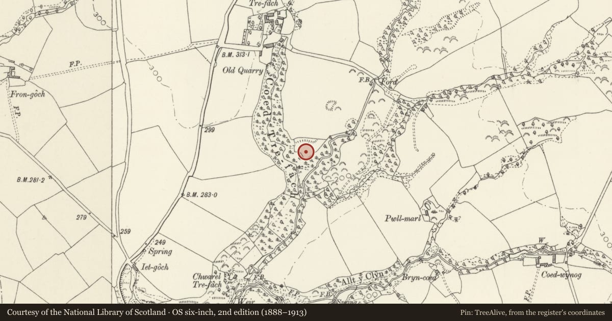 Ordnance Survey six-inch map, 2nd edition (1888–1913) covering the location of Tre-Fach Camp, Nevern, Pembrokeshire, with a pin at the register's coordinates
