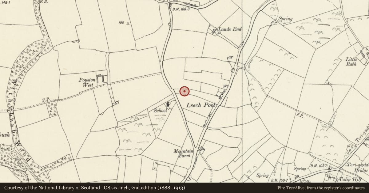 Ordnance Survey six-inch map, 2nd edition (1888–1913) covering the location of Leachpool Round Barrow, Rudbaxton, Pembrokeshire, with a pin at the register's coordinates