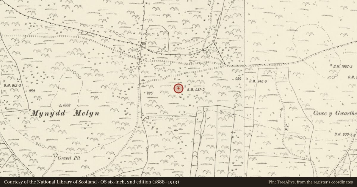 Ordnance Survey six-inch map, 2nd edition (1888–1913) covering the location of Huts on Mynydd Melyn, Cwm Gwaun, Pembrokeshire, with a pin at the register's coordinates
