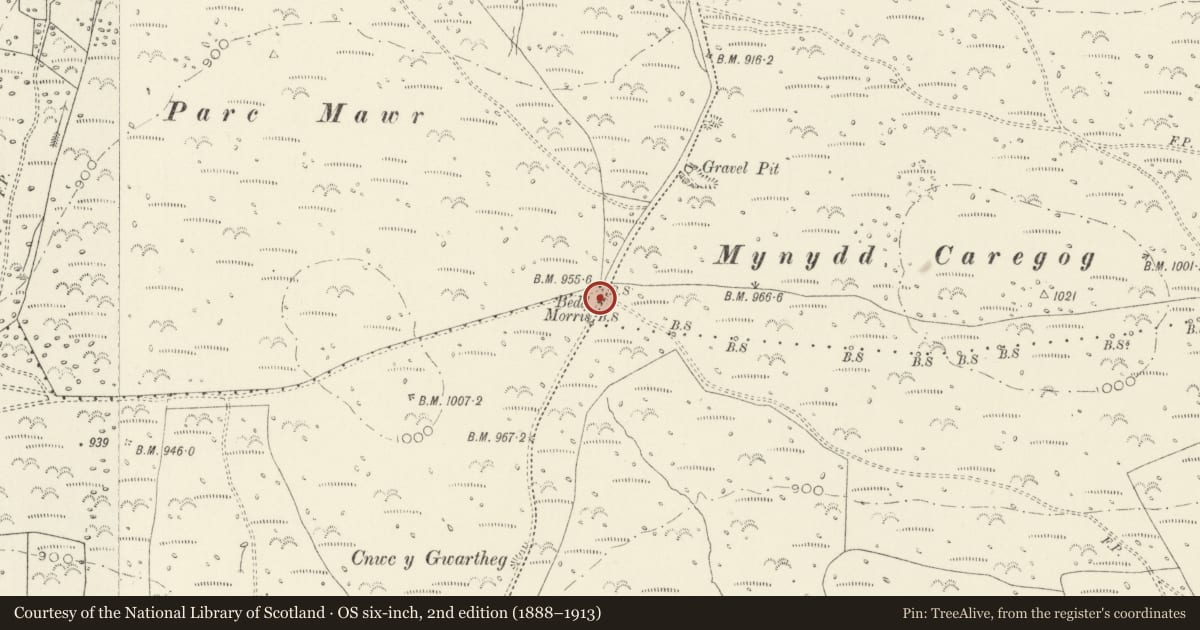 Ordnance Survey six-inch map, 2nd edition (1888–1913) covering the location of Bedd Morris Standing Stone, Cwm Gwaun, Pembrokeshire, with a pin at the register's coordinates