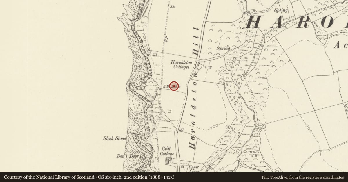 Ordnance Survey six-inch map, 2nd edition (1888–1913) covering the location of Harold Stone, The Havens, Pembrokeshire, with a pin at the register's coordinates