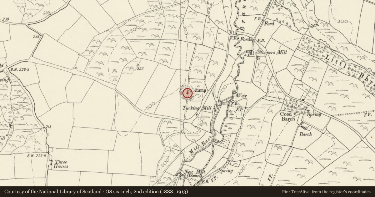 Ordnance Survey six-inch map, 2nd edition (1888–1913) covering the location of Brandy Brook Camp, Brawdy, Pembrokeshire, with a pin at the register's coordinates