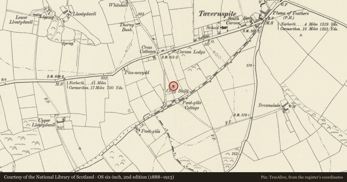Ordnance Survey six-inch map, 2nd edition (1888–1913) covering the location of Crug Swllt Round Barrow, Lampeter Velfrey, Pembrokeshire, with a pin at the register's coordinates