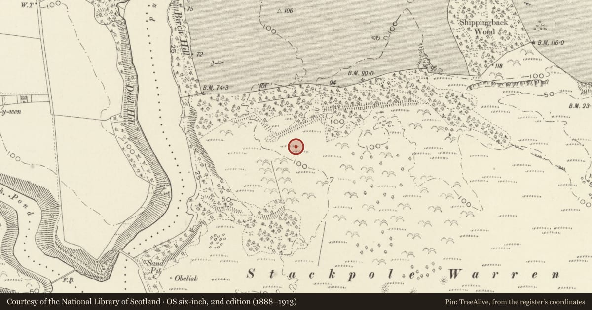 Ordnance Survey six-inch map, 2nd edition (1888–1913) covering the location of Stackpole Warren Standing Stone, Stackpole and Castlemartin, Pembrokeshire, with a pin at the register's coordinates