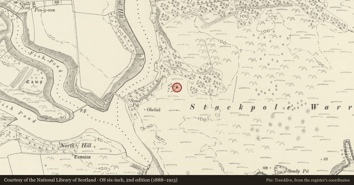 Ordnance Survey six-inch map, 2nd edition (1888–1913) covering the location of Stackpole Warren Hut Group, Stackpole and Castlemartin, Pembrokeshire, with a pin at the register's coordinates