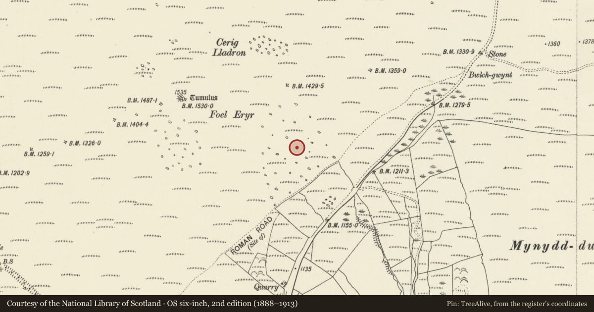 Ordnance Survey six-inch map, 2nd edition (1888–1913) covering the location of Foel Eryr Hut Group, Eglwyswrw, Pembrokeshire, with a pin at the register's coordinates