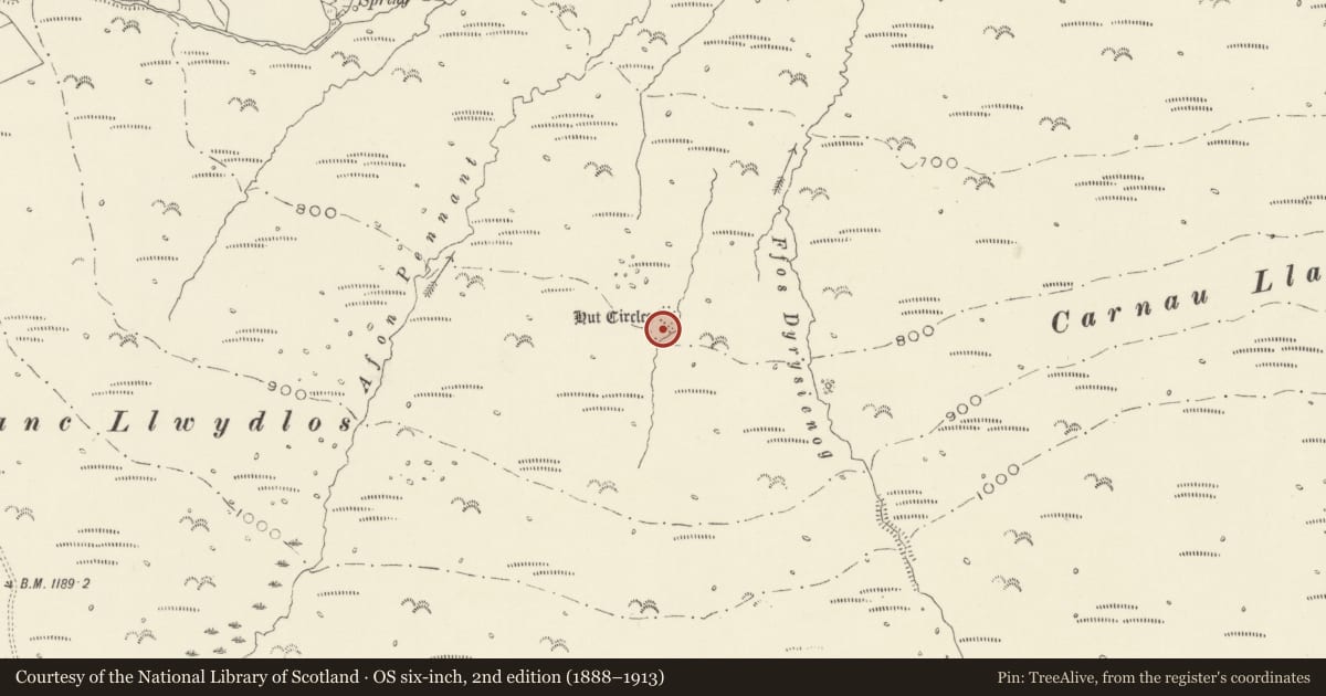 Ordnance Survey six-inch map, 2nd edition (1888–1913) covering the location of Banc Llwydlos Hut Group, Eglwyswrw, Pembrokeshire, with a pin at the register's coordinates