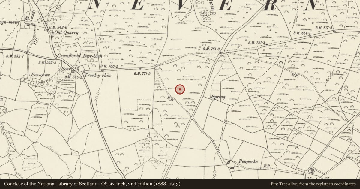 Ordnance Survey six-inch map, 2nd edition (1888–1913) covering the location of Parc-Lan Standing Stones, Eglwyswrw, Pembrokeshire, with a pin at the register's coordinates